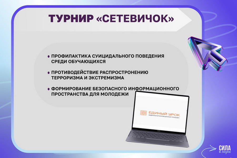 «Сетевичок».